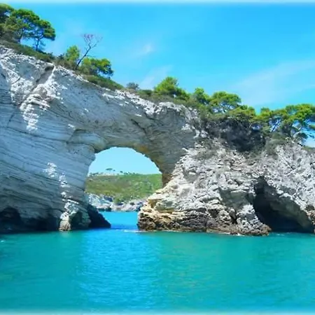 Touring 호텔 로디가르가니코