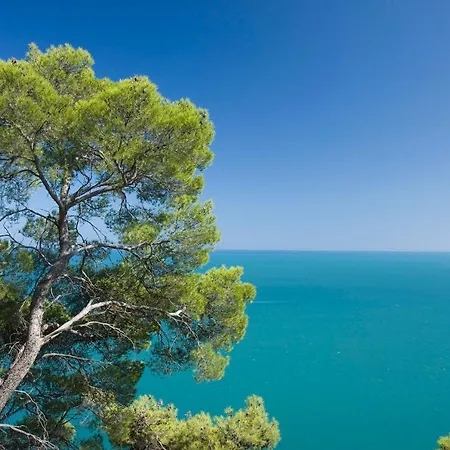 Touring 罗迪-加尔加尼科