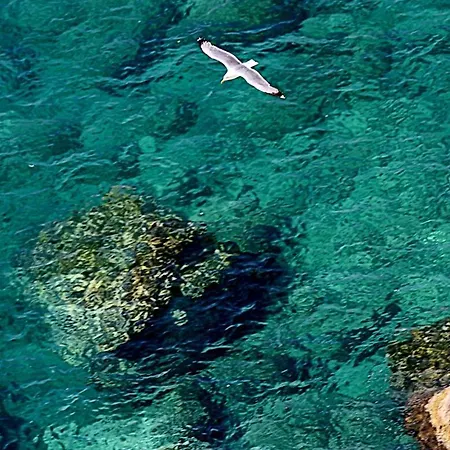 酒店 Touring 罗迪-加尔加尼科