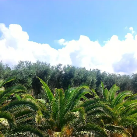 Touring Rodi Garganico